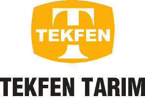 tekfen